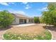 Spacious backyard with healthy lawn, mature trees, and a concrete patio area at 4278 E Del Rio Dr, San Tan Valley, AZ 85140