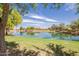 Peaceful pond surrounded by lush greenery, offering a serene and inviting atmosphere at 4332 S Oregon Ct, Chandler, AZ 85248