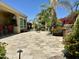 A spacious backyard featuring a covered patio and lush desert landscape at 562 E Vesper Trl, Queen Creek, AZ 85140