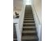 Carpeted staircase with white railings leading to the upper level of the home at 804 W Lark Dr, Queen Creek, AZ 85140