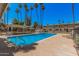 Relaxing community pool surrounded by lounge chairs and lush palm trees, perfect for outdoor enjoyment at 8210 E Garfield St # K23, Scottsdale, AZ 85257