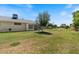 Grassy backyard with mature tree providing shade, perfect for outdoor activities at 10895 W Clair Dr, Sun City, AZ 85351