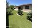 Artificial grass backyard featuring mature trees, flower bushes, and house at 11249 N 161St Ave, Surprise, AZ 85379