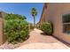 Landscaped backyard with stone pathway, desert plants, and a view of the home's exterior at 13041 S 45Th Pl, Phoenix, AZ 85044