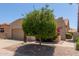 Beautiful single-story home with desert landscaping, mature trees, and flowering shrubs at 13041 S 45Th Pl, Phoenix, AZ 85044