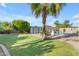 Beautiful backyard featuring a lush lawn, refreshing pool, palm trees, and shed for extra storage at 13824 W Gelding Dr, Surprise, AZ 85379