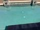 A close-up of the pool, highlighting its clear water and clean design at 15625 N Jerry St, Surprise, AZ 85378