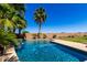 Sparkling pool surrounded by palm trees and lush landscaping, providing a serene and tropical backyard retreat at 21605 S 187Th Way, Queen Creek, AZ 85142