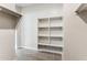 Walk-in closet with wall shelves and carpet flooring offers ample storage space at 5819 E Covey Ln, Phoenix, AZ 85054