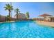 Beautiful community pool with clear blue water, palm trees, and seating areas for residents to enjoy at 6300 S Nash Way, Chandler, AZ 85249