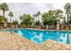 A beautiful in-ground pool is surrounded by a stone patio and lush landscaping with many mature palms at 10030 W Indian School Rd # 215, Phoenix, AZ 85037
