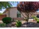 Landscaped front yard featuring various plants, desert landscaping, and a well manicured yard at 157 W Leatherwood Ave, San Tan Valley, AZ 85140