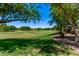 Expansive green space with mature trees and a picnic area, perfect for outdoor activities at 2547 E Vermont Dr, Gilbert, AZ 85295