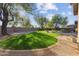 Beautiful backyard with vibrant green grass, mature trees, and neat landscaping at 2830 S Riata Ct, Gilbert, AZ 85295
