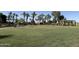 Expansive green community park with palm trees, walkways, and shade structures in a residential neighborhood at 40060 W Wade Dr, Maricopa, AZ 85138