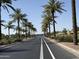 Palm-lined street showcasing the community's landscaping and neighborhood setting on a bright, sunny day at 40060 W Wade Dr, Maricopa, AZ 85138
