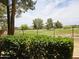 Views of the community golf course and mountains at 4303 E Cactus Rd # 135, Phoenix, AZ 85032