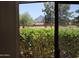 Mountain views from the window of the property at 4303 E Cactus Rd # 135, Phoenix, AZ 85032