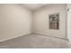 Bedroom featuring neutral paint, new carpet and a window with a backyard view at 689 E Stottler Dr, Gilbert, AZ 85296