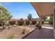 Charming backyard with lush landscaping, a beautiful water feature, and a covered patio for relaxing outdoors at 10936 N Ventana W Dr, Peoria, AZ 85373