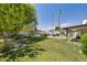 Large backyard features grassy area, mature trees, and access to the pool at 1452 E Gary St, Mesa, AZ 85203
