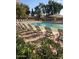Community pool offers many lounge chairs and several shaded areas for residents at 15235 S 30Th St, Phoenix, AZ 85048