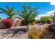 Landscaped backyard with gravel, flowering bushes, and shade trees at 1642 E Desert Ln, Phoenix, AZ 85042