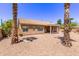Back exterior view featuring desert landscaping, mature palm trees, and covered patio area at 279 W Stirrup Ln, San Tan Valley, AZ 85143