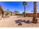 Spacious backyard featuring desert landscaping, mature palm trees, and covered patio area at 279 W Stirrup Ln, San Tan Valley, AZ 85143