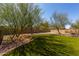 Beautiful backyard with lush grass, mature trees, and well-maintained landscaping at 2934 S Woodruff Cir, Mesa, AZ 85212