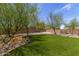 Well-maintained backyard with green artificial turf, landscaping, and shade trees at 2934 S Woodruff Cir, Mesa, AZ 85212