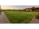 Expansive green lawn and manicured landscaping with patio create a vibrant outdoor setting for relaxing and enjoying the scenery at 30404 N 131St Dr, Peoria, AZ 85383