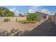 Well-maintained backyard with decorative rock, lush green tree, and block wall at 3338 E Lavey Ln, Phoenix, AZ 85032