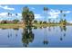 Picturesque lake view showcasing palm trees and reflections on the water at 6368 W Firebird Dr, Glendale, AZ 85308