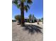 View of home with xeriscape landscaping featuring mature palm tree, cacti and desert shrubbery at 8133 W Mclellan Rd, Glendale, AZ 85303
