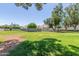 Picturesque view of a park-like green space with mature trees and well-maintained landscaping at 1174 E Belmont Ave, Phoenix, AZ 85020