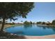Scenic view of a pond surrounded by homes and landscaping, creating a tranquil community atmosphere at 1741 S Clearview Ave # 13, Mesa, AZ 85209