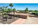 Lovely single-story home with mature palm trees, a long driveway, and a cozy entrance at 7101 E Cholla St, Scottsdale, AZ 85254