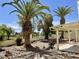 Backyard with desert landscaping and mature palm trees providing shade at 8947 N 84Th Way, Scottsdale, AZ 85258
