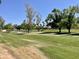 Wide shot of green community park with a walking path and mature shade trees on a sunny day at 8947 N 84Th Way, Scottsdale, AZ 85258