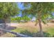 Community park with picnic tables, a playground, and grassy areas, framed by mature trees at 16729 W Alvarado Dr, Goodyear, AZ 85395