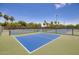 Outdoor pickleball courts, offering a recreational amenity with palm trees, for community members at 16729 W Alvarado Dr, Goodyear, AZ 85395