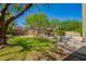 Spacious backyard features a grassy lawn, mature trees, and a charming entertainment area with a pool at 3818 E Quail Ave, Phoenix, AZ 85050