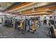 Well-equipped gym with modern weight machines and large windows for natural light at 3818 E Quail Ave, Phoenix, AZ 85050