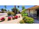 Landscaped front yard featuring mature trees, colorful bushes, and a curved walkway leading to the entrance at 4617 E Emile Zola Ave, Phoenix, AZ 85032