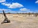 Large backyard with mature trees and clear skies above at 50525 W Whirly Bird Rd, Maricopa, AZ 85139