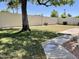 Nice backyard with mature tree, grass, rock groundcover and block fence at 8759 W Port Au Prince Ln, Peoria, AZ 85381
