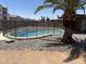 Backyard pool is fenced and surrounded by desert landscaping at 11849 N 29Th Ave, Phoenix, AZ 85029