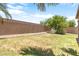 Backyard featuring a block wall, rock landscaping and a shade tree at 12089 N 145Th Dr, Surprise, AZ 85379