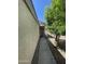 Side view of the property highlighting the entry door and lush, green landscaping at 14700 N El Frio St, El Mirage, AZ 85335